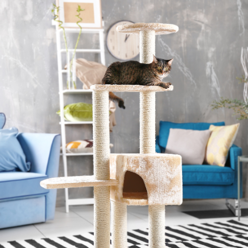 Cat Trees and Towers