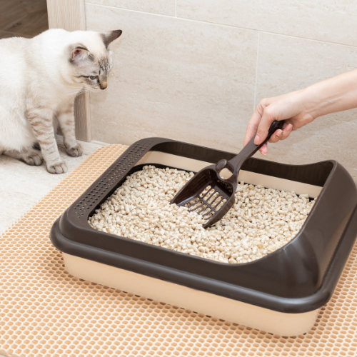 Litter boxes and Accessories