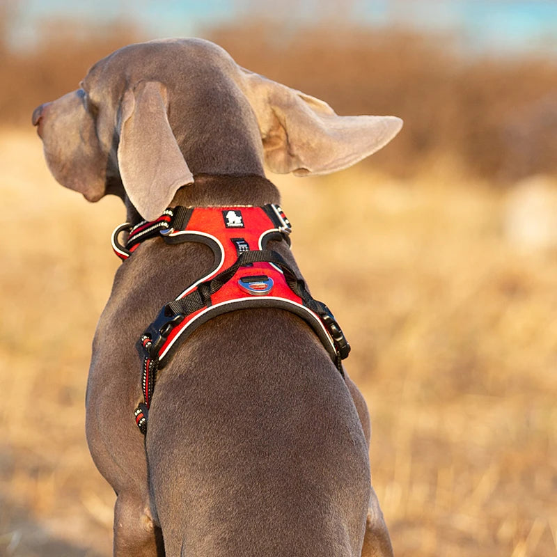 Pet Reflective Nylon Dog Harness No Pull Adjustable Medium.