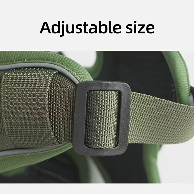 Dog harness with leash, and collar.