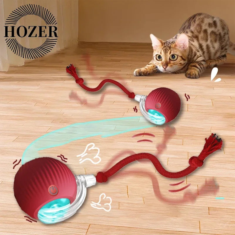 2Pcs Cat Interactive Ball Toys Automatic Rolling Ball.