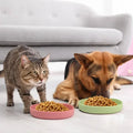 Silicone Pet Dog Feeding Bowl.