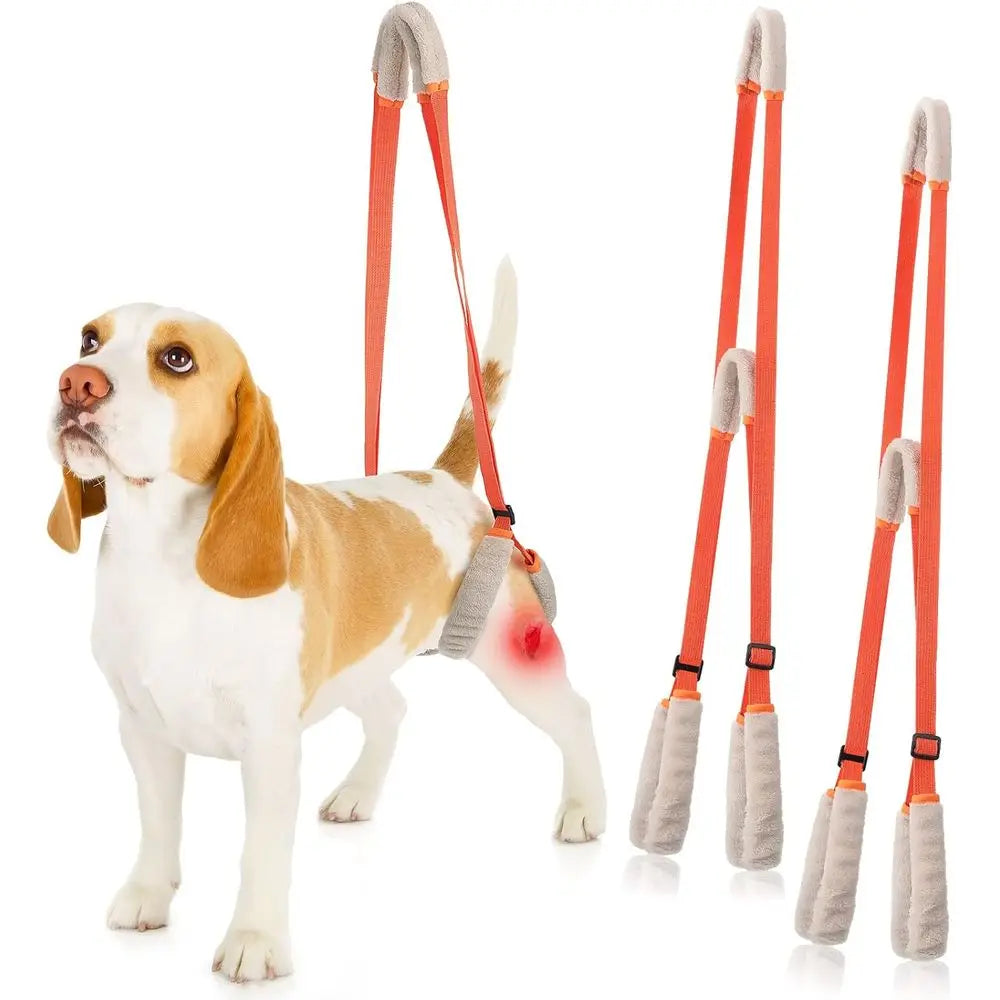 Orange Dog Rear Support Harness with Handle and Shoulder Strap for Mobility Assistance and Stability