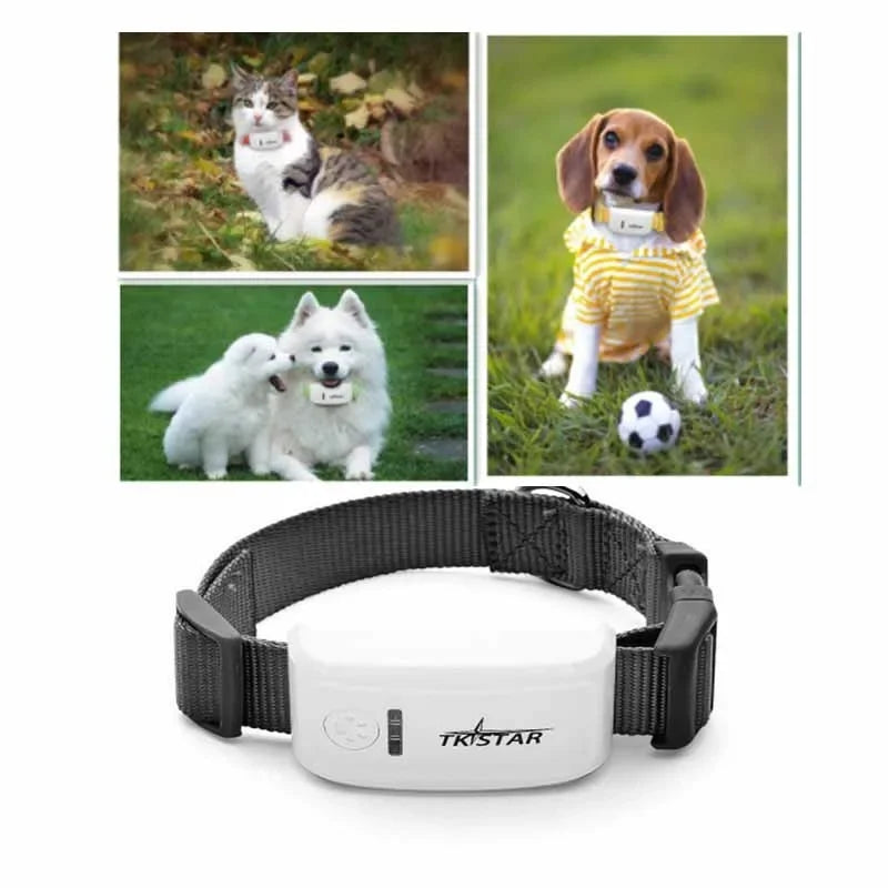 Mini TKSTAR Pet Tracker With Collar GSM/GPRS Positioning Real Time GPS