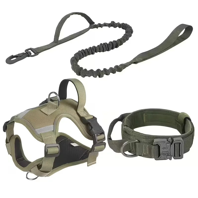 Dog harness with leash, and collar.