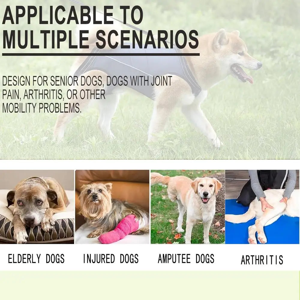 Supportive Harness for Small to Medium Dogs with Lifting Sling for Mobility Assistance