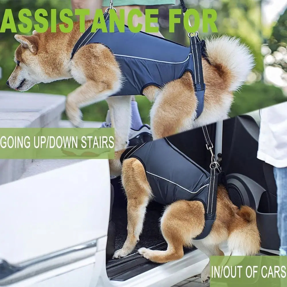 Supportive Harness for Small to Medium Dogs with Lifting Sling for Mobility Assistance