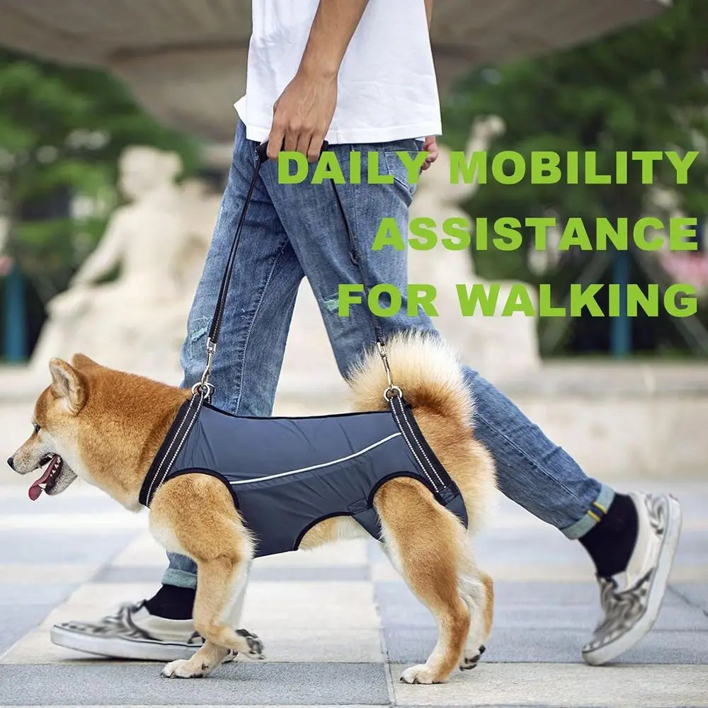 Supportive Harness for Small to Medium Dogs with Lifting Sling for Mobility Assistance