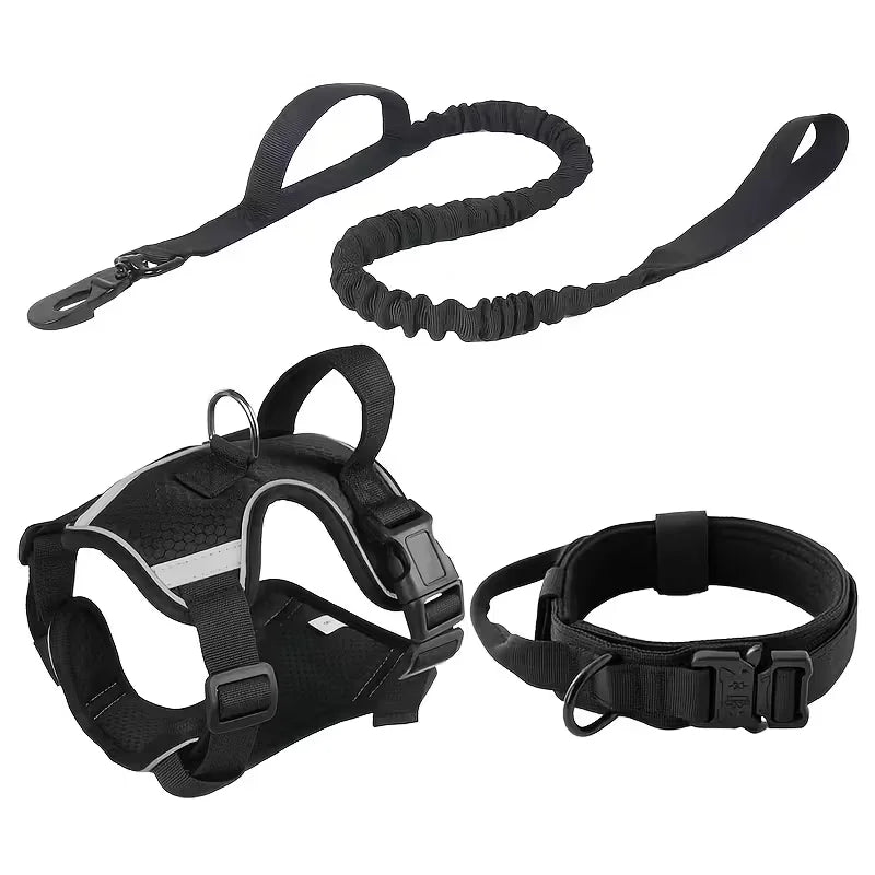 Dog harness with leash, and collar.