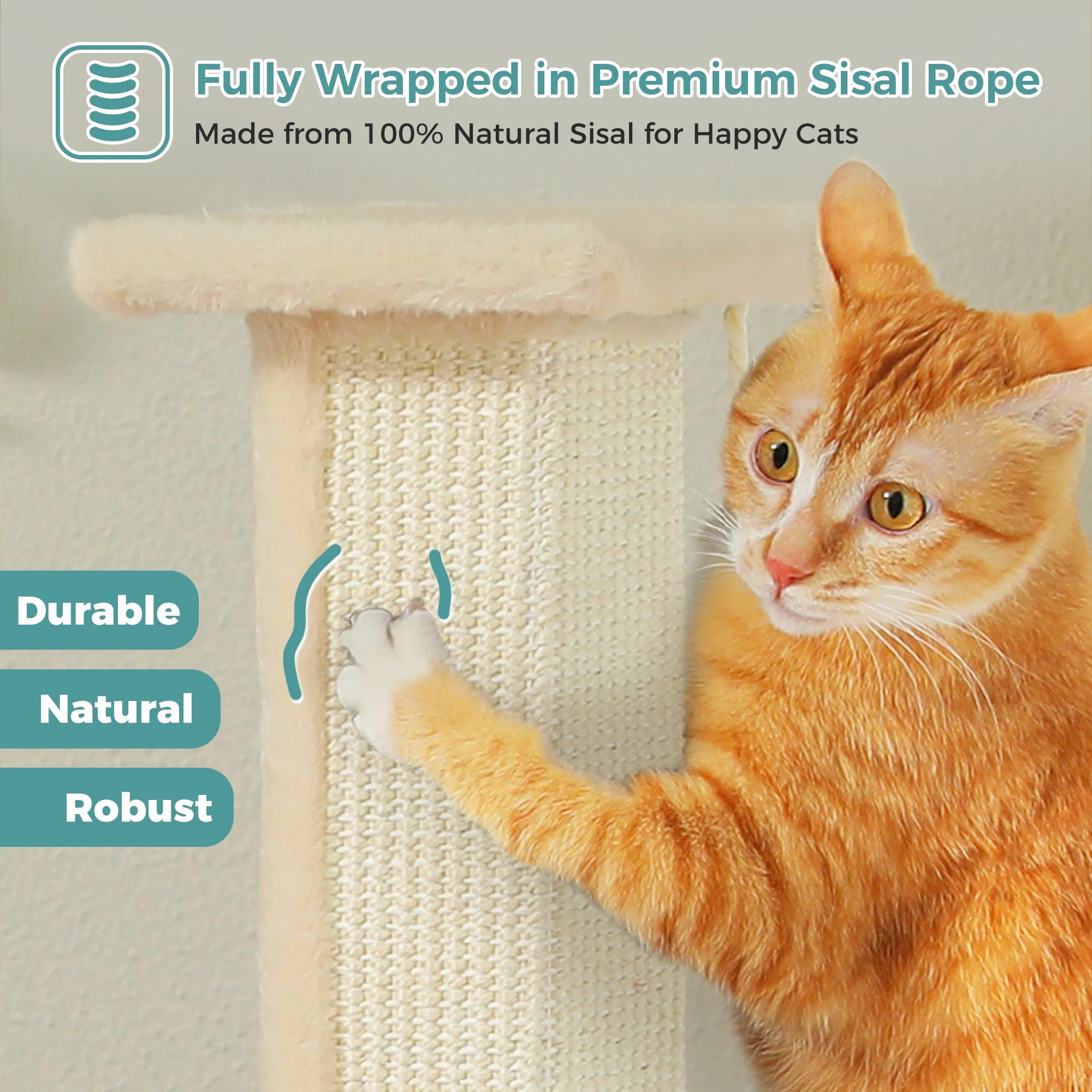 Large Cat Scratching Post for Indoor Cats Adults Ultimate Scratch Post.