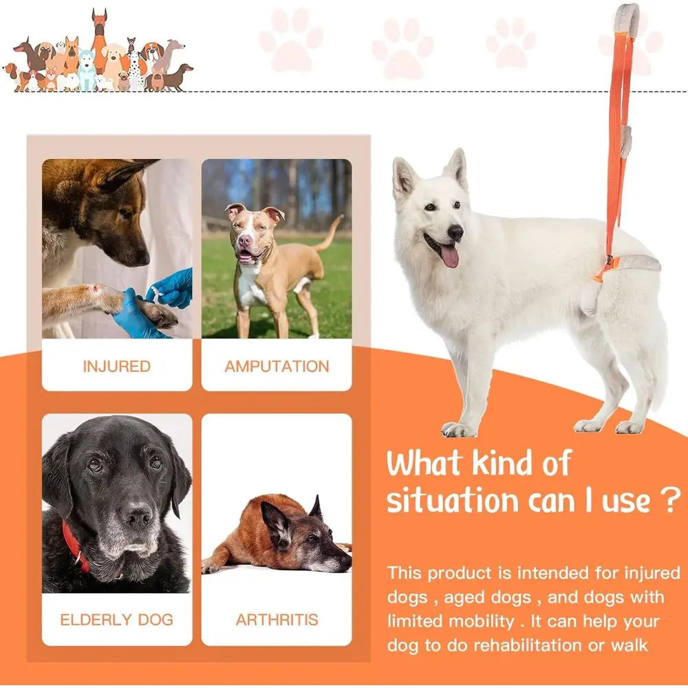 Orange Dog Rear Support Harness with Handle and Shoulder Strap for Mobility Assistance and Stability
