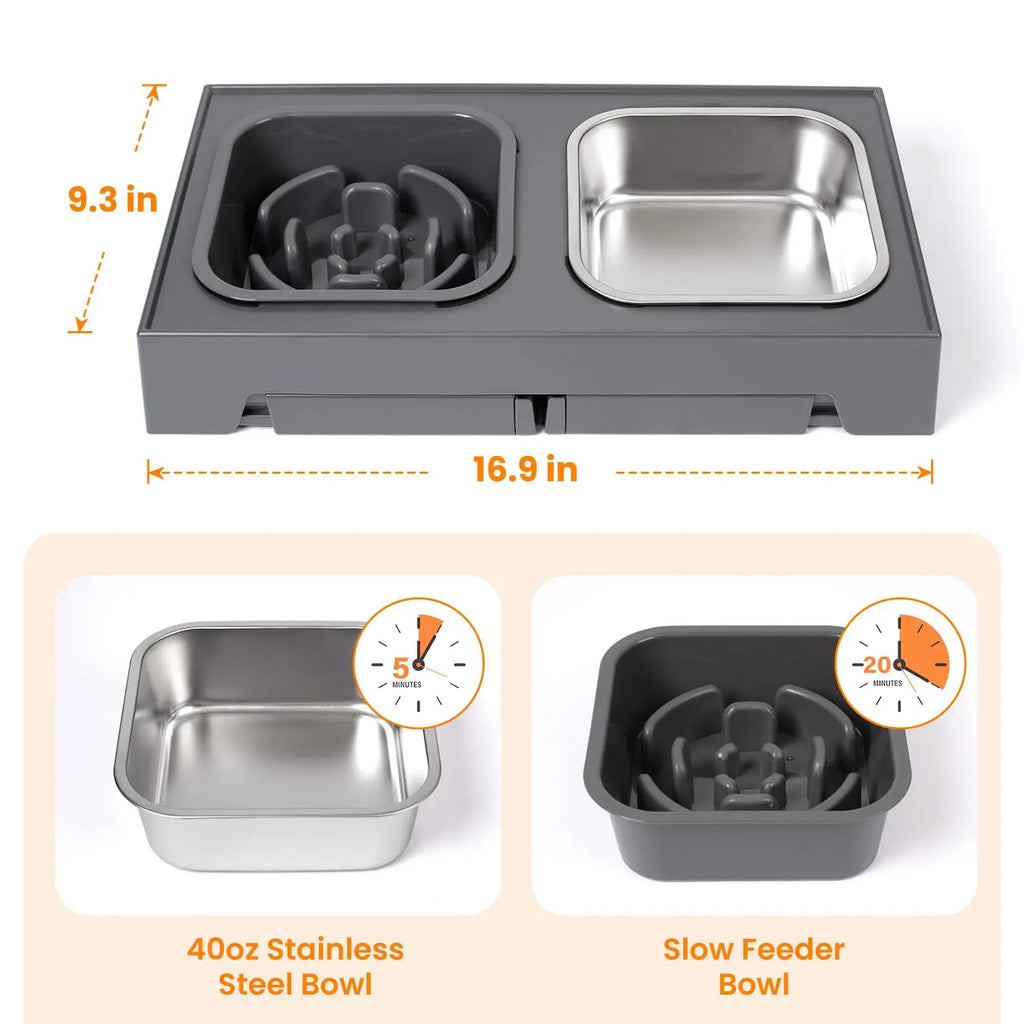 2-in-1 Elevated Slow Feeder Dog Bowls.