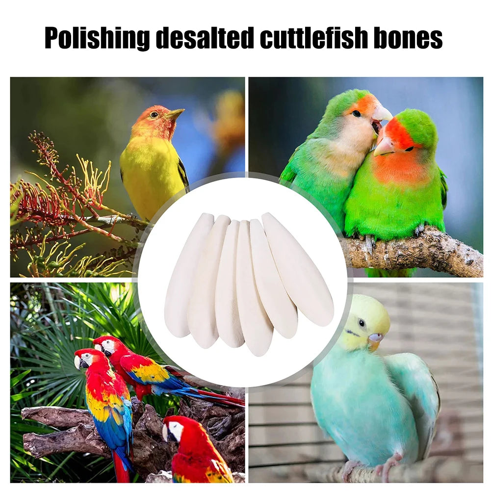 Cuttlefish Bone Parrot Chew Toys Chewing Bird Food Calcium Cuttlebone Pick Stone