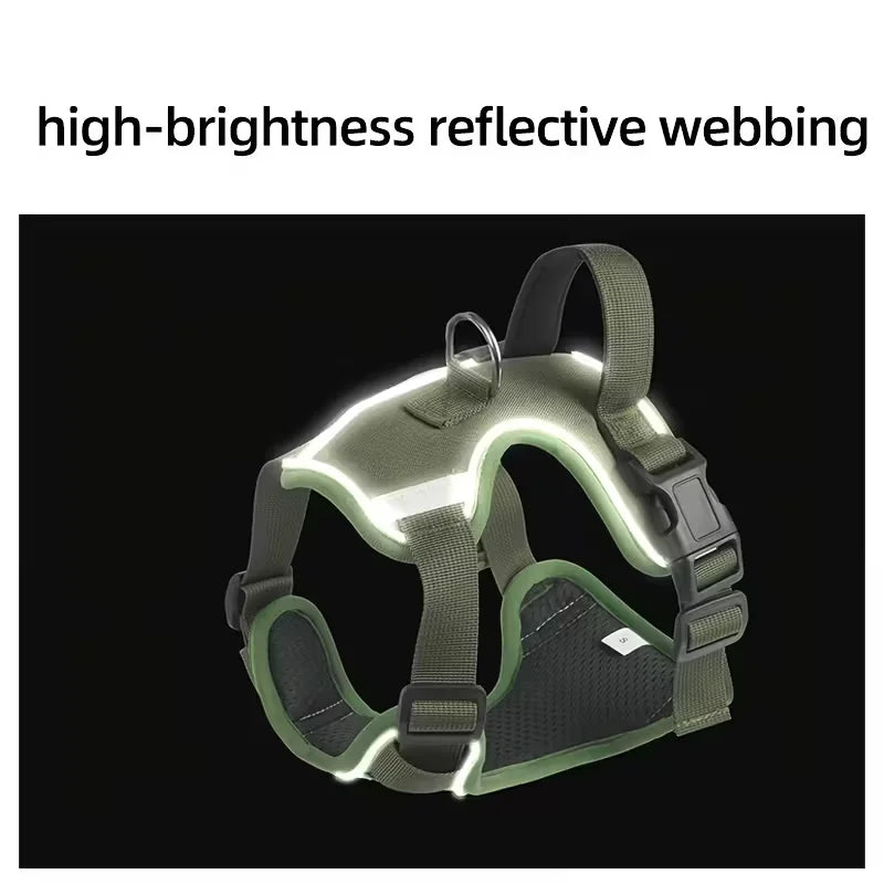 Dog harness with leash, and collar.