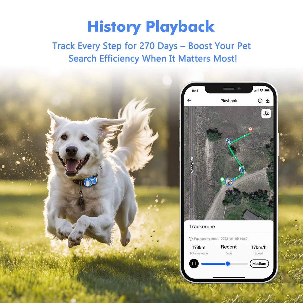 ‌4G Dog Cat GPS Tracker for Pets - Waterproof Smart Locator with App, Live Tracking & Light/Sound Search with Subscription.