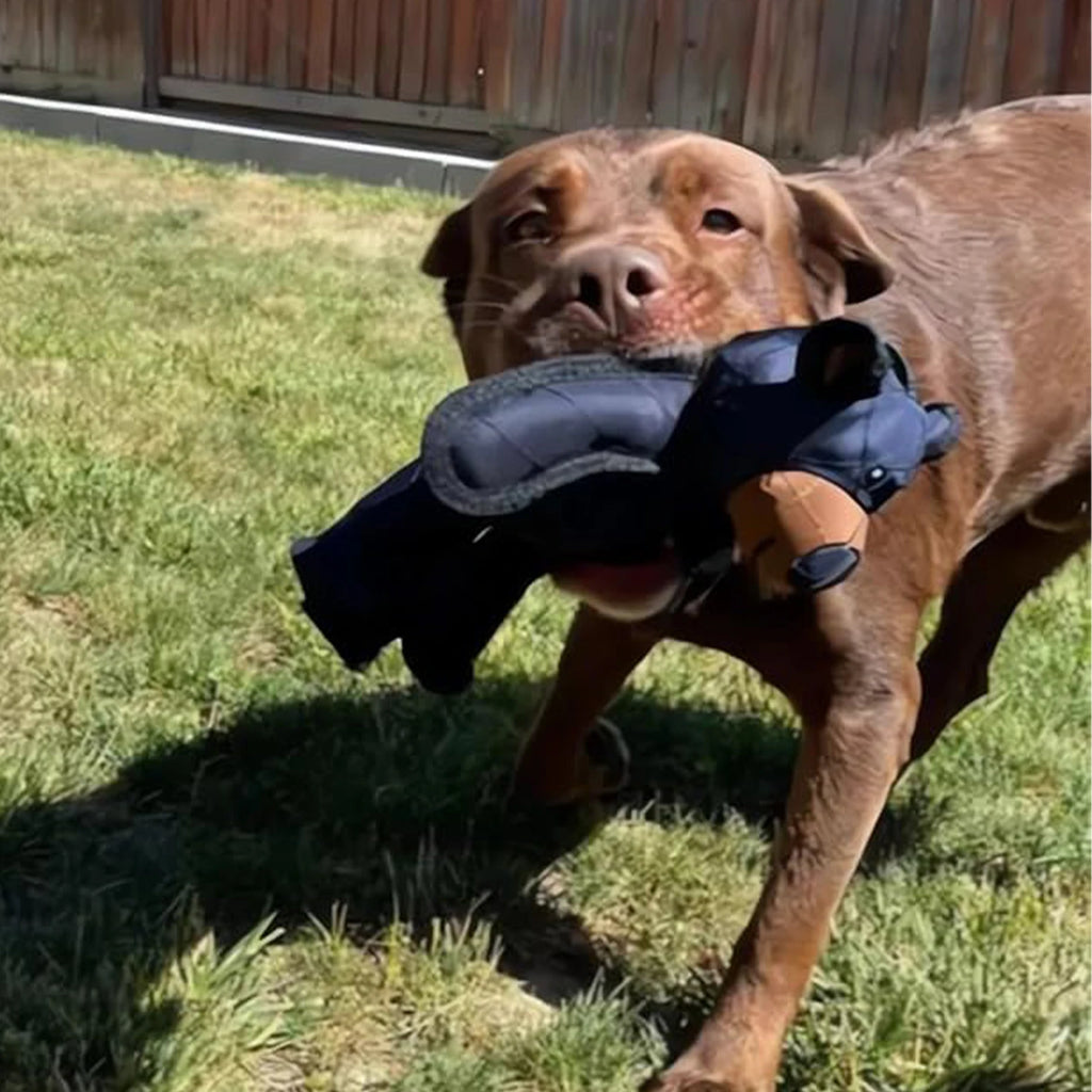 Squeaky Plush Bear Toy for Dog Unbreakable Teddy Extreme Bear Dog Toys