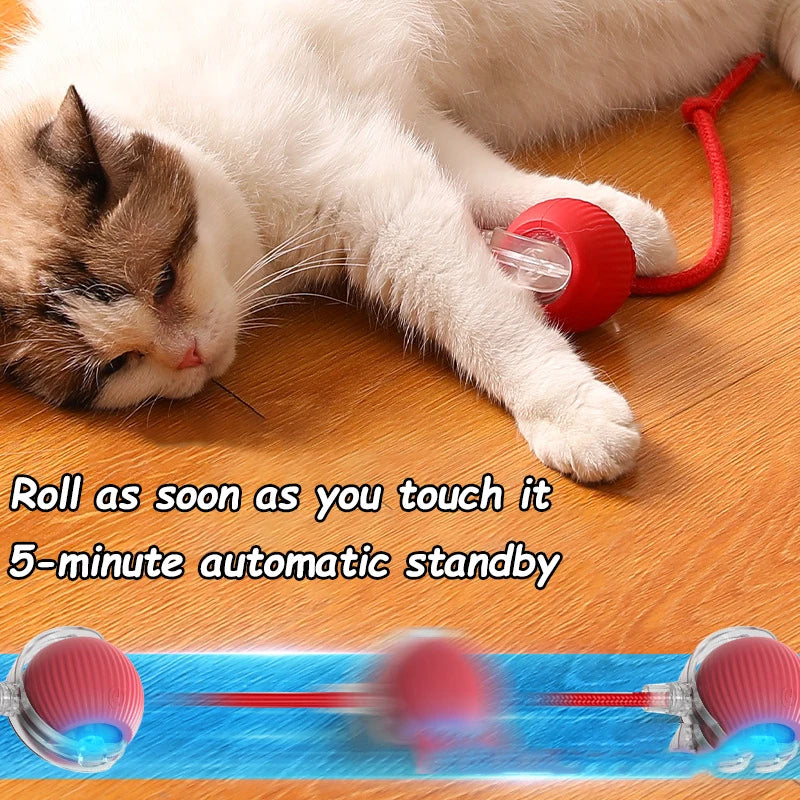2Pcs Cat Interactive Ball Toys Automatic Rolling Ball.