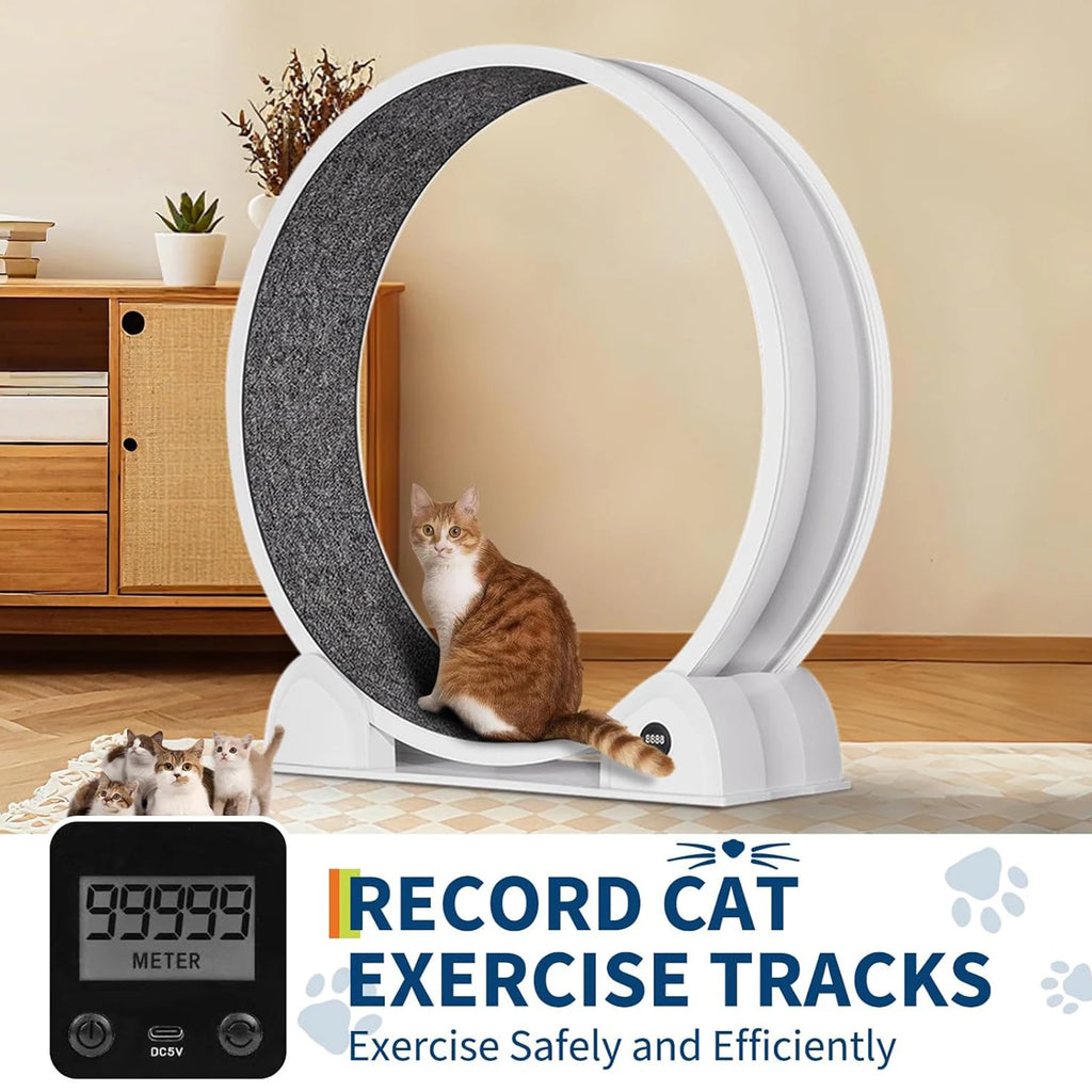 Cat Exercise Wheel for Indoor Cats, Quiet Cats Treadmill with Pedometer, Small Animal Running Wheels