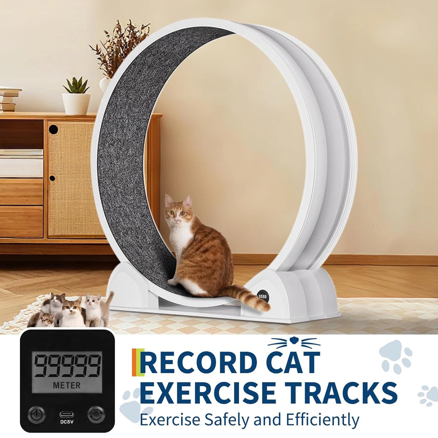Cat Exercise Wheel for Indoor Cats, Quiet Cats Treadmill with Pedometer, Small Animal Running Wheels