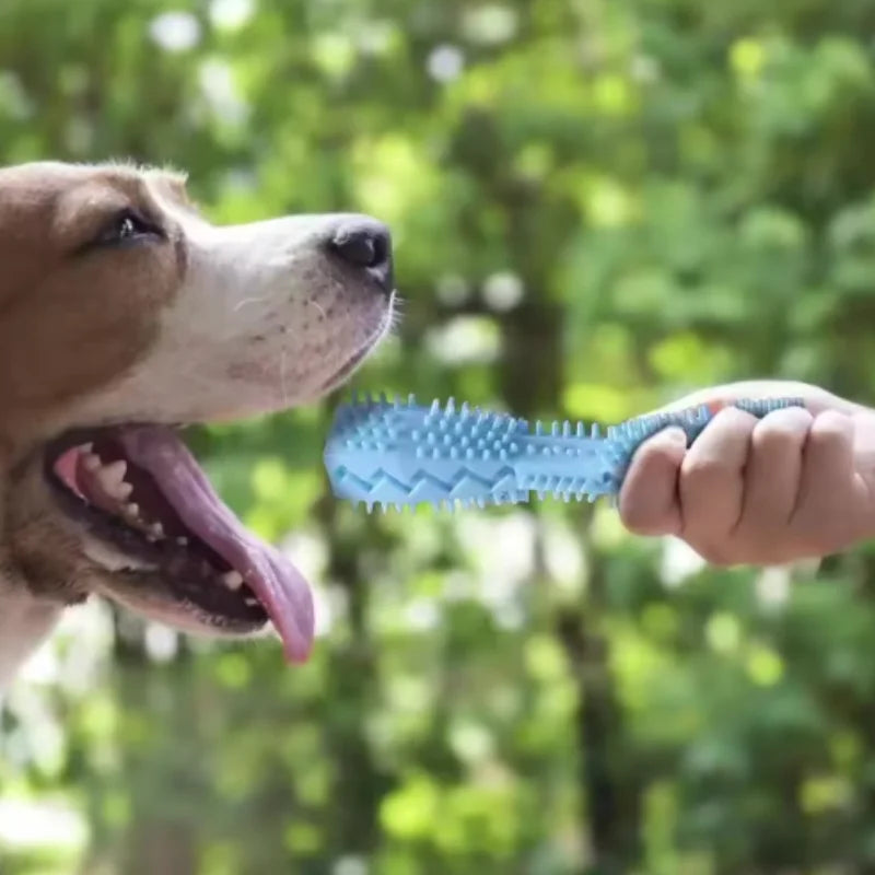 Puppy Teething Toy Dog Chew Stick Bite Resistant.