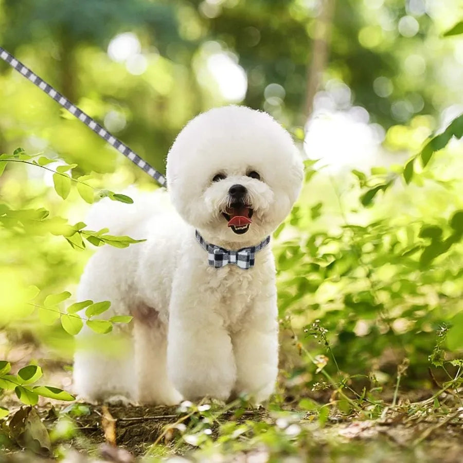 Classic Plaid Dog Bow Tie and Dog Bandana Collar with Bell Dog Leash.