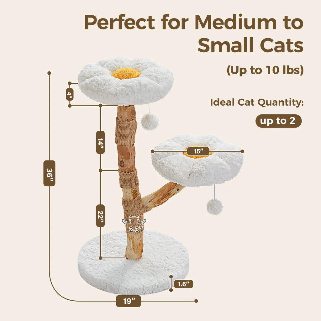 Solid Wood Cat Tree Modern Cat Tower with Spacious Cat Condo,Flower Perches.