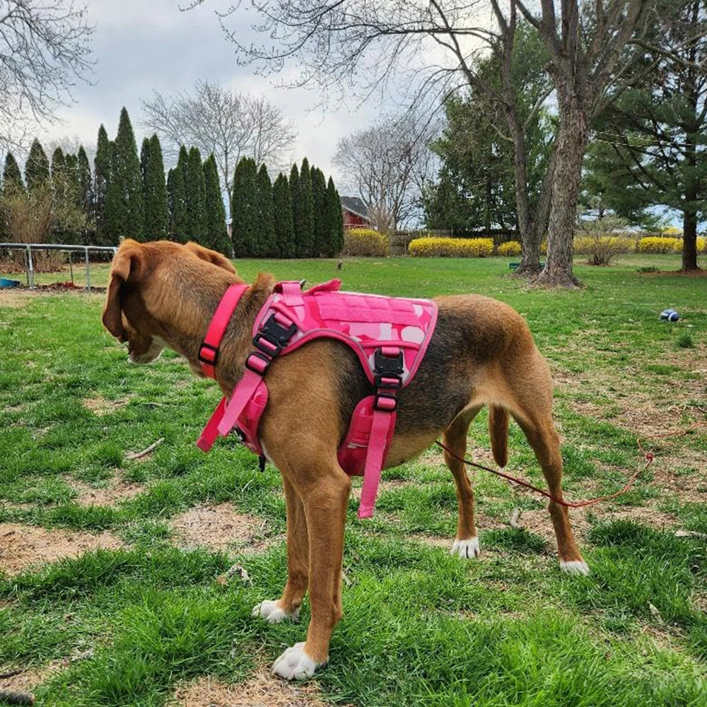 Pink Reflective Dog Harness with 4 Metal Buckles Military Tactical Pet Training,