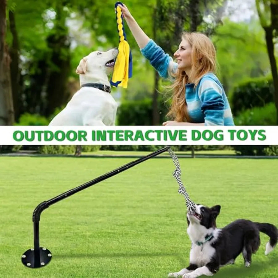 Tether Tug Outdoor Dog Toy Interactive Exercise Game.