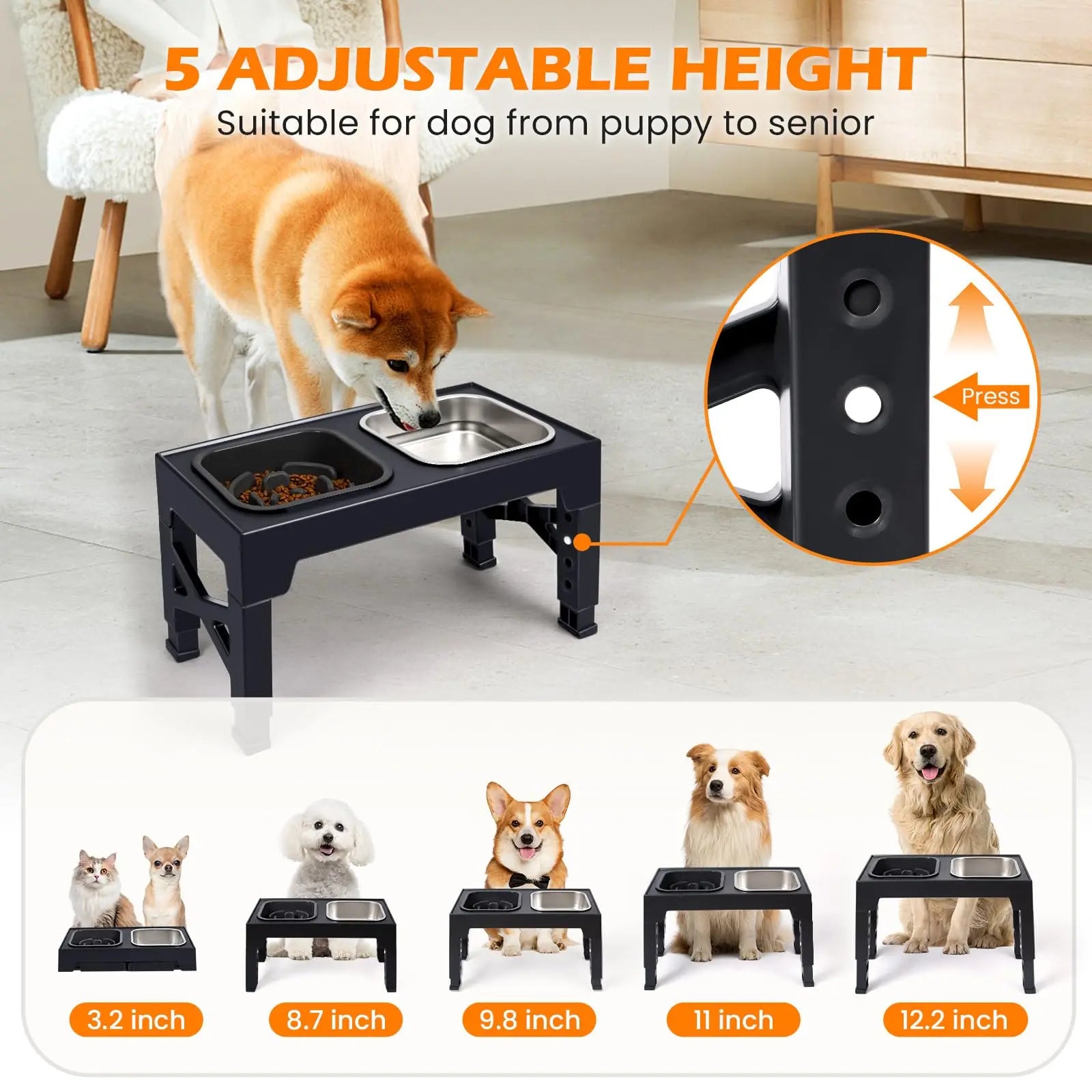 2-in-1 Elevated Slow Feeder Dog Bowls.