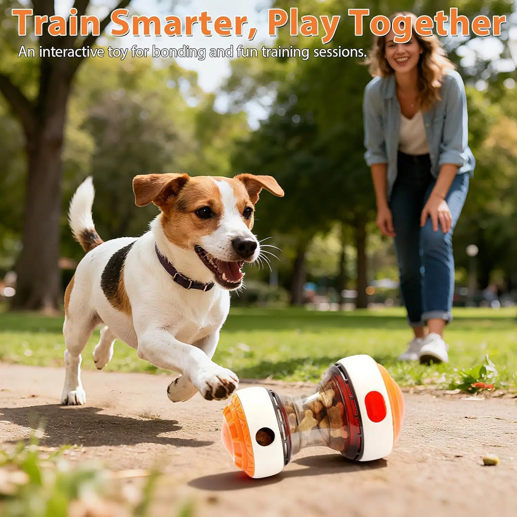 Interactive dog toys for small dogs.