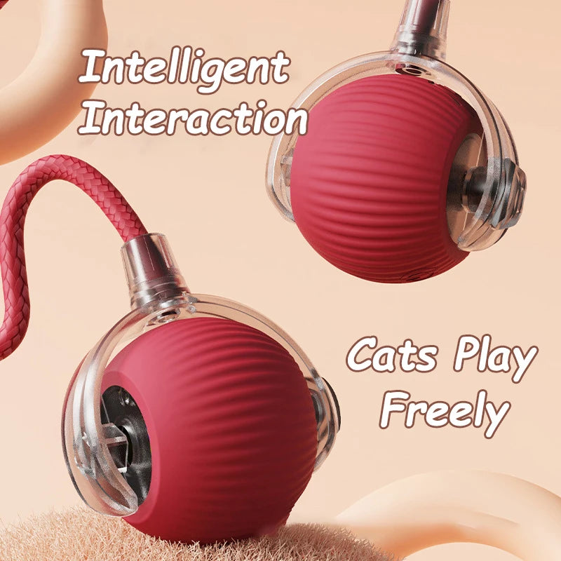 2Pcs Cat Interactive Ball Toys Automatic Rolling Ball.