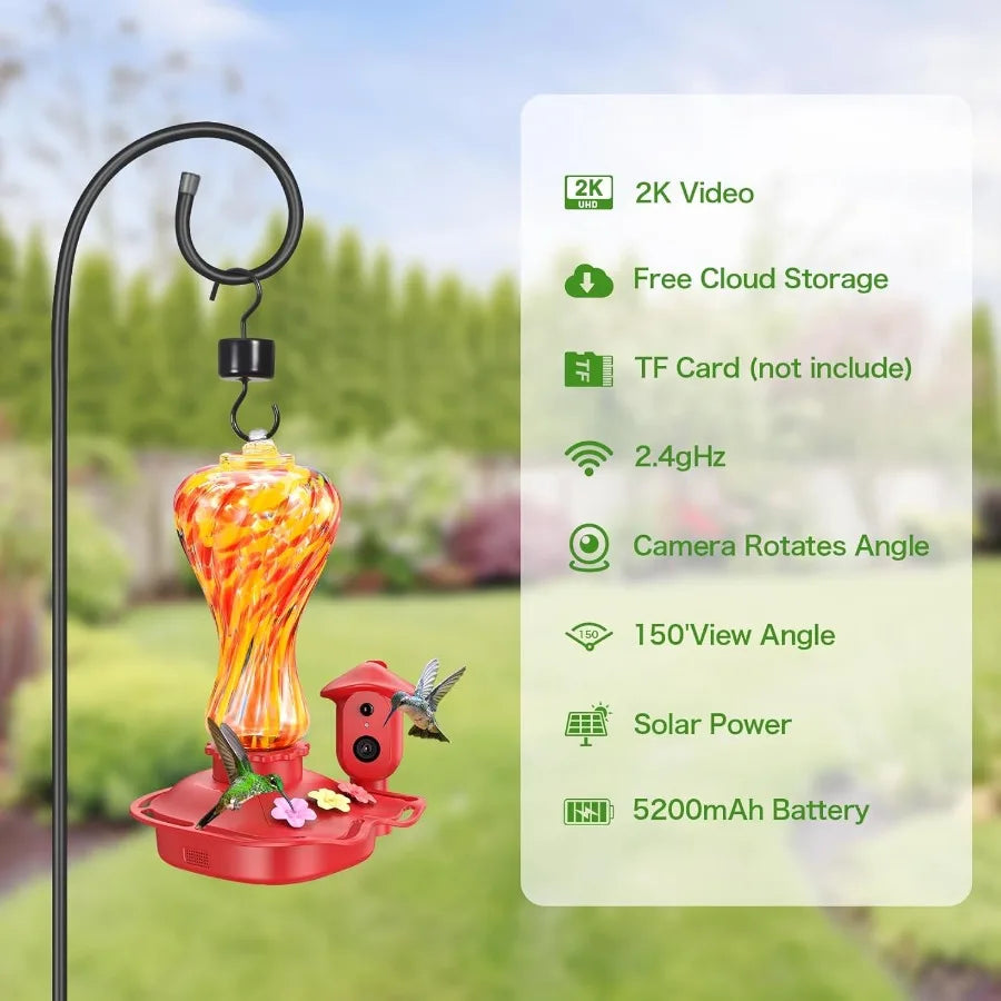 Smart Glass Hummingbird Feeder with Camera Solar Powered 2K HD.