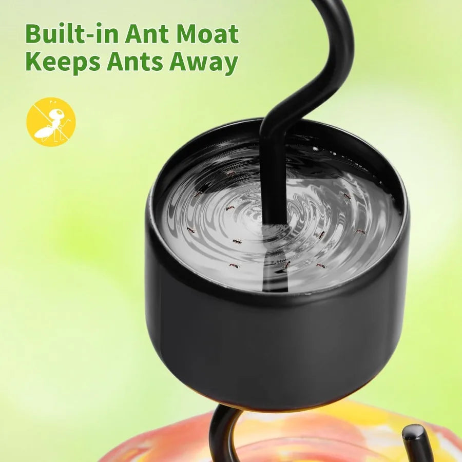 Smart Glass Hummingbird Feeder with Camera Solar Powered 2K HD.