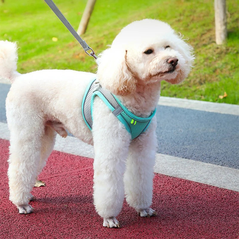 Dog Harness Vest Chest Cat Collars Rope Small Dogs Reflective.