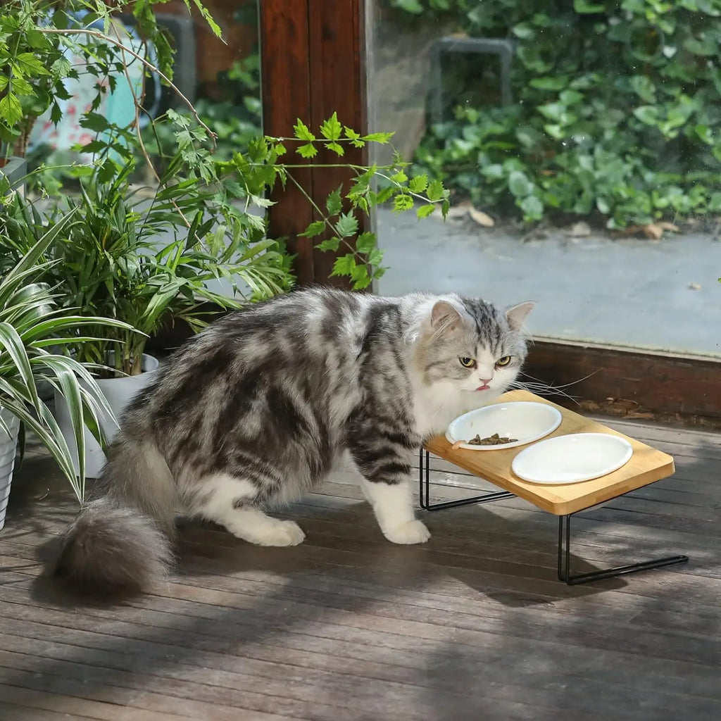 Elevated Cat Ceramic Bowls,15° Tilted Raised Food Feeding Dishes.