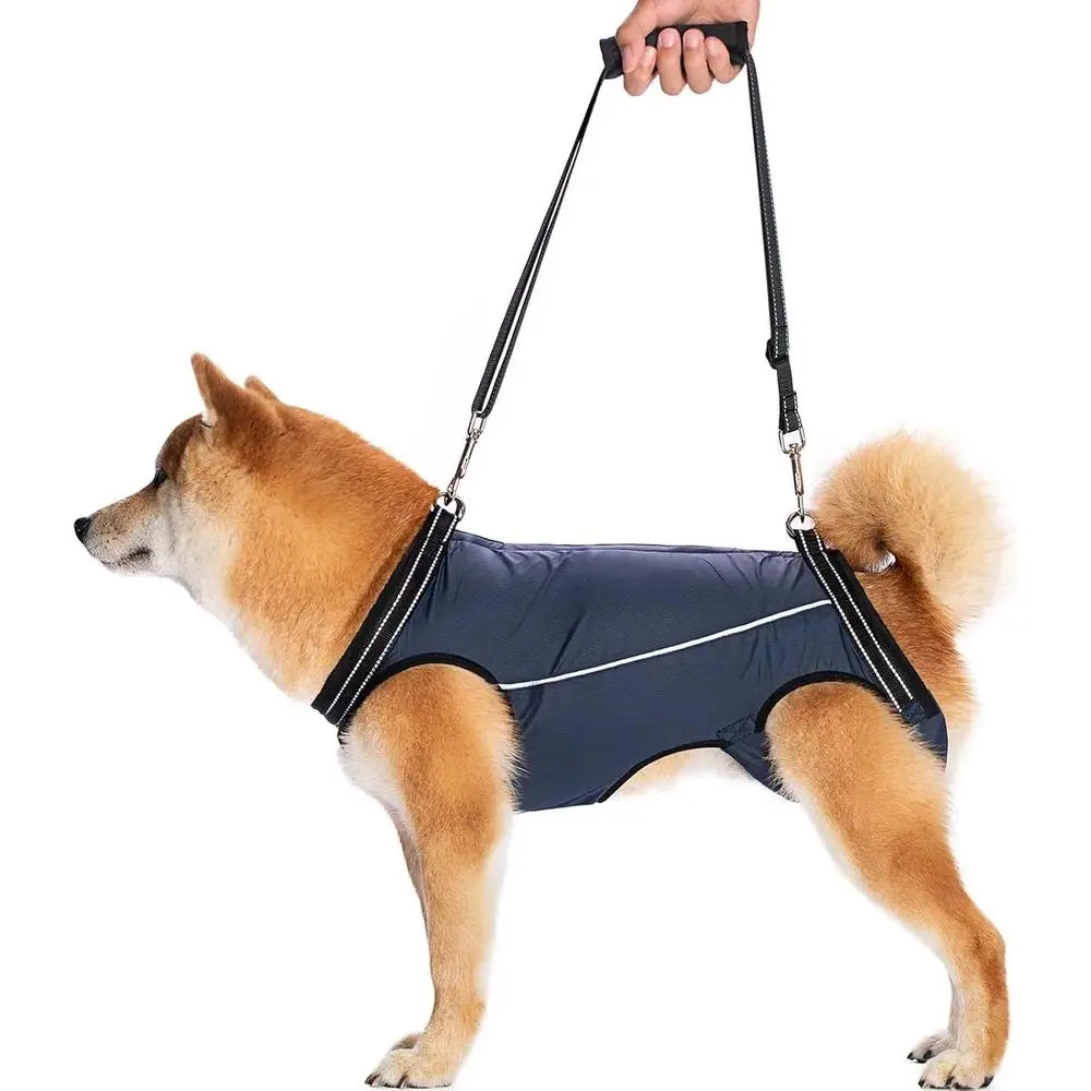 Supportive Harness for Small to Medium Dogs with Lifting Sling for Mobility Assistance
