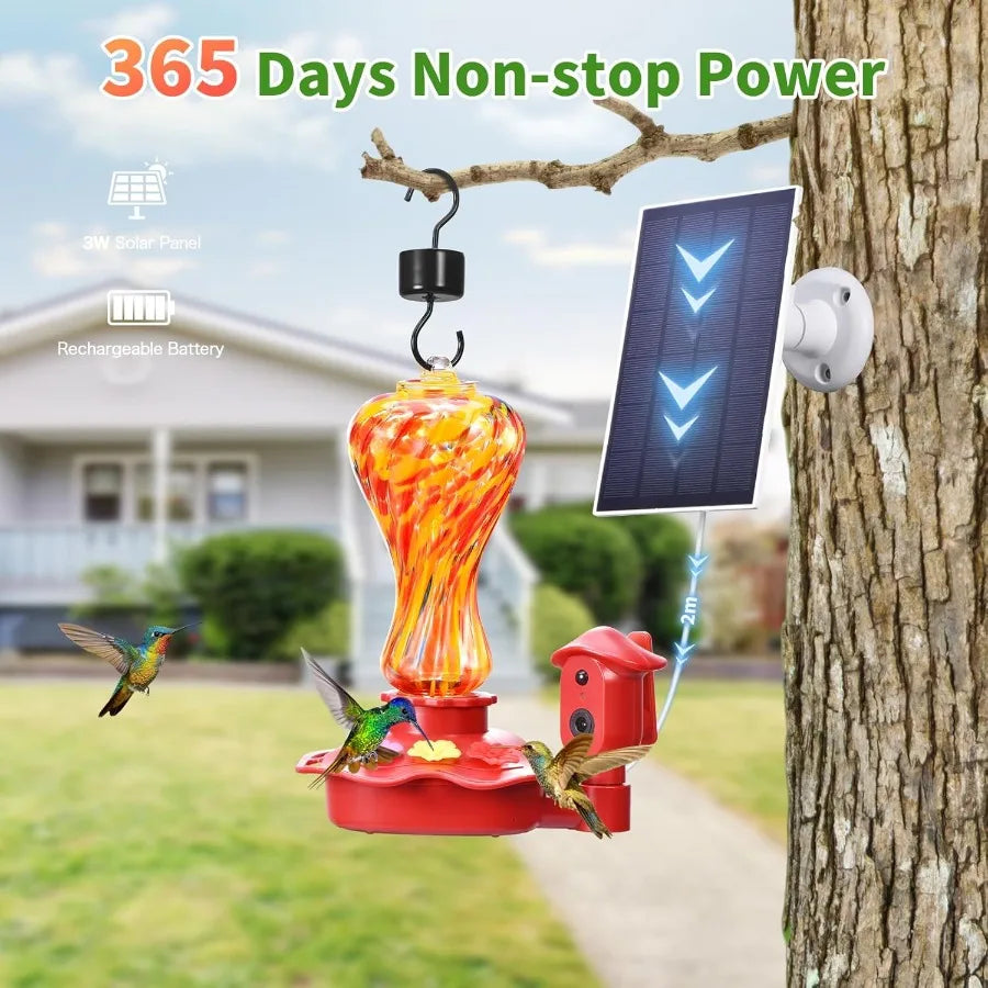 Smart Glass Hummingbird Feeder with Camera Solar Powered 2K HD.