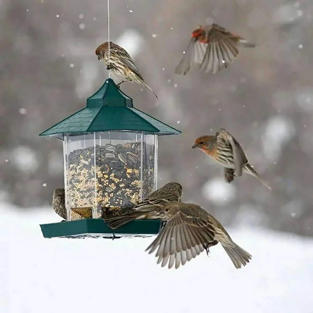 Wild Bird Feeders for Outside Rust Proof Hanging Feeders Squirrel Proof.