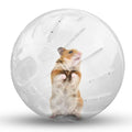 Pet Fitness Running Ball Plastic Solid Grounder Rodent Hamster Mini Jogging Ball
