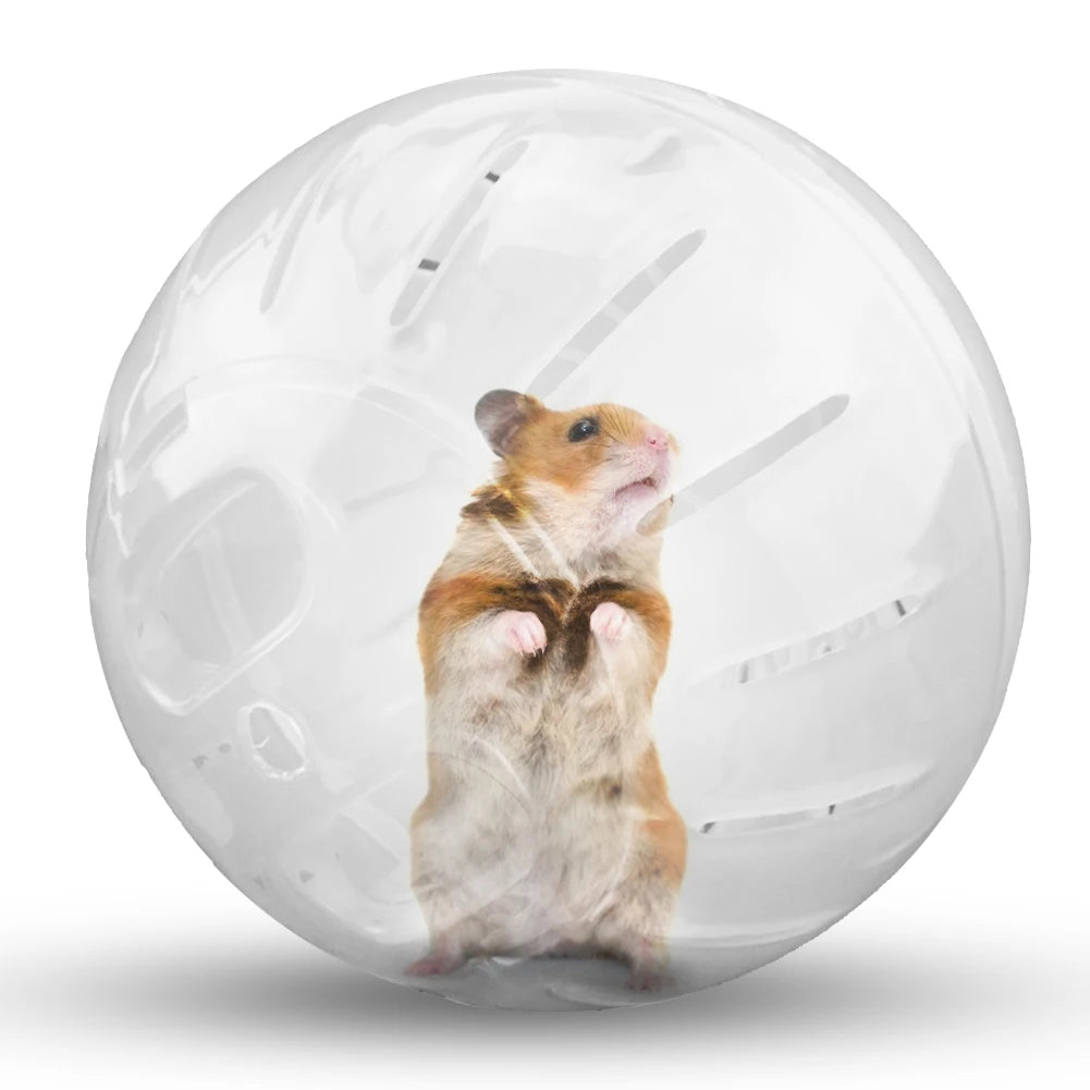 Pet Fitness Running Ball Plastic Solid Grounder Rodent Hamster Mini Jogging Ball