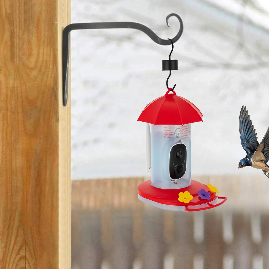 Red/Clear Intelligent Video Bird Feeder—1080P 160° Wide Angle 10000.