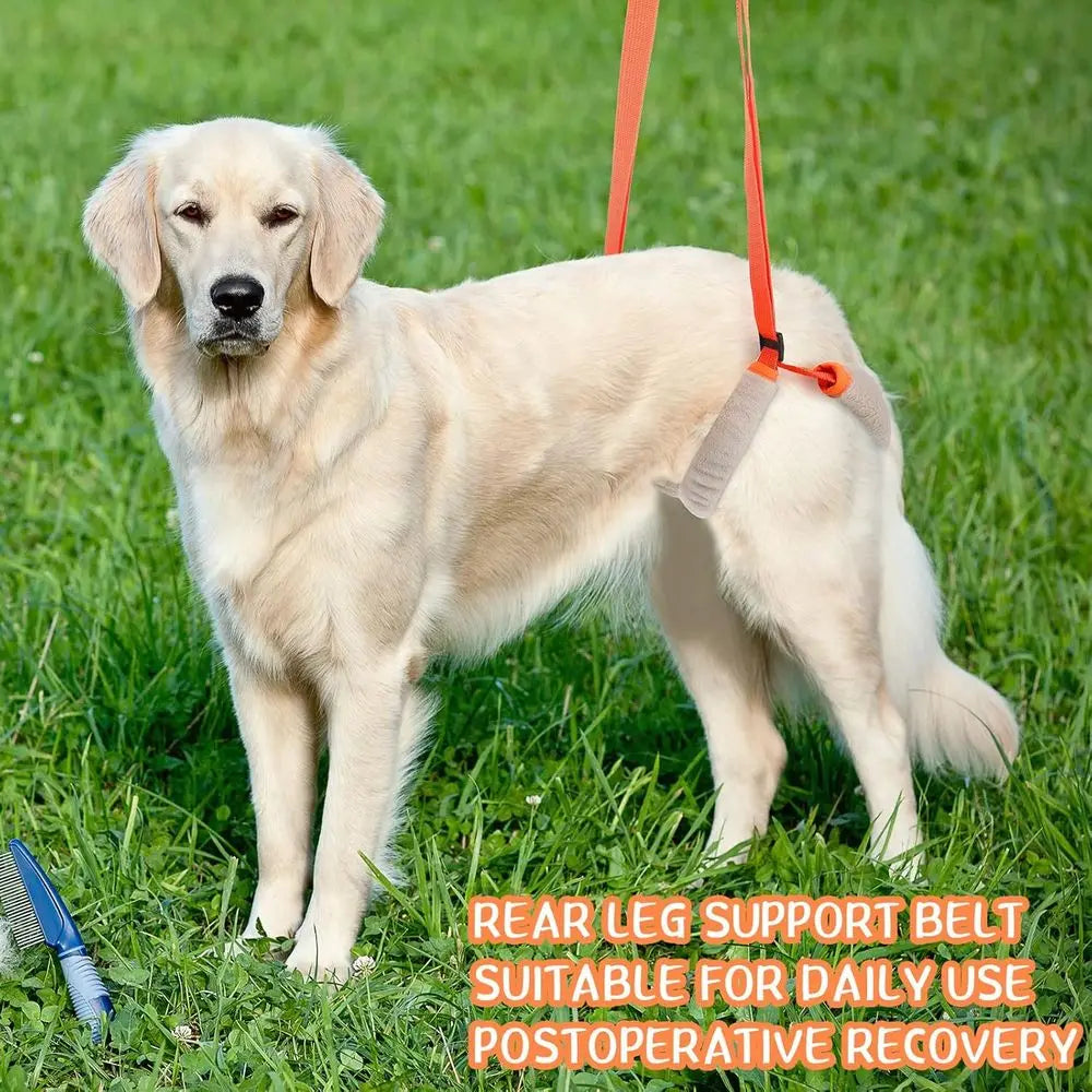Orange Dog Rear Support Harness with Handle and Shoulder Strap for Mobility Assistance and Stability