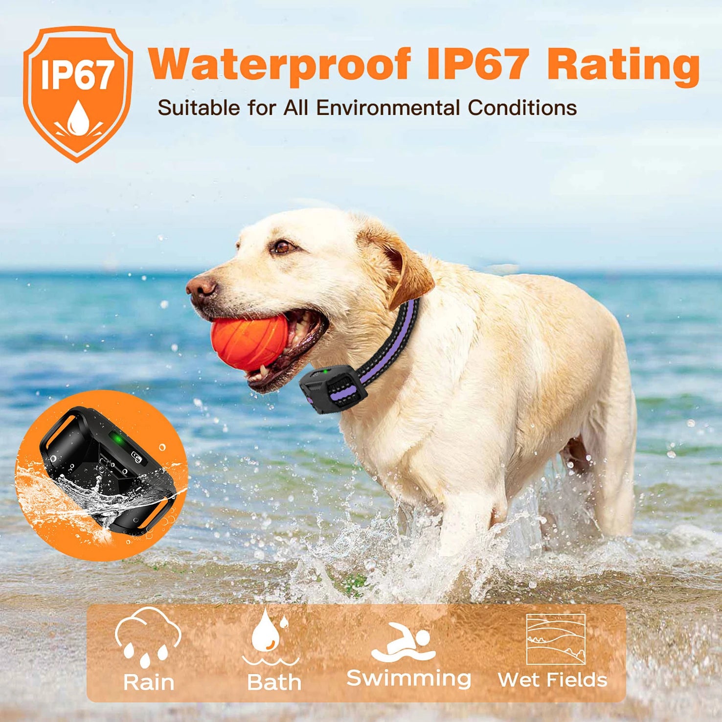 3300Ft Electric Dog Training Collar Remote Control Waterproof Pet Behavior.