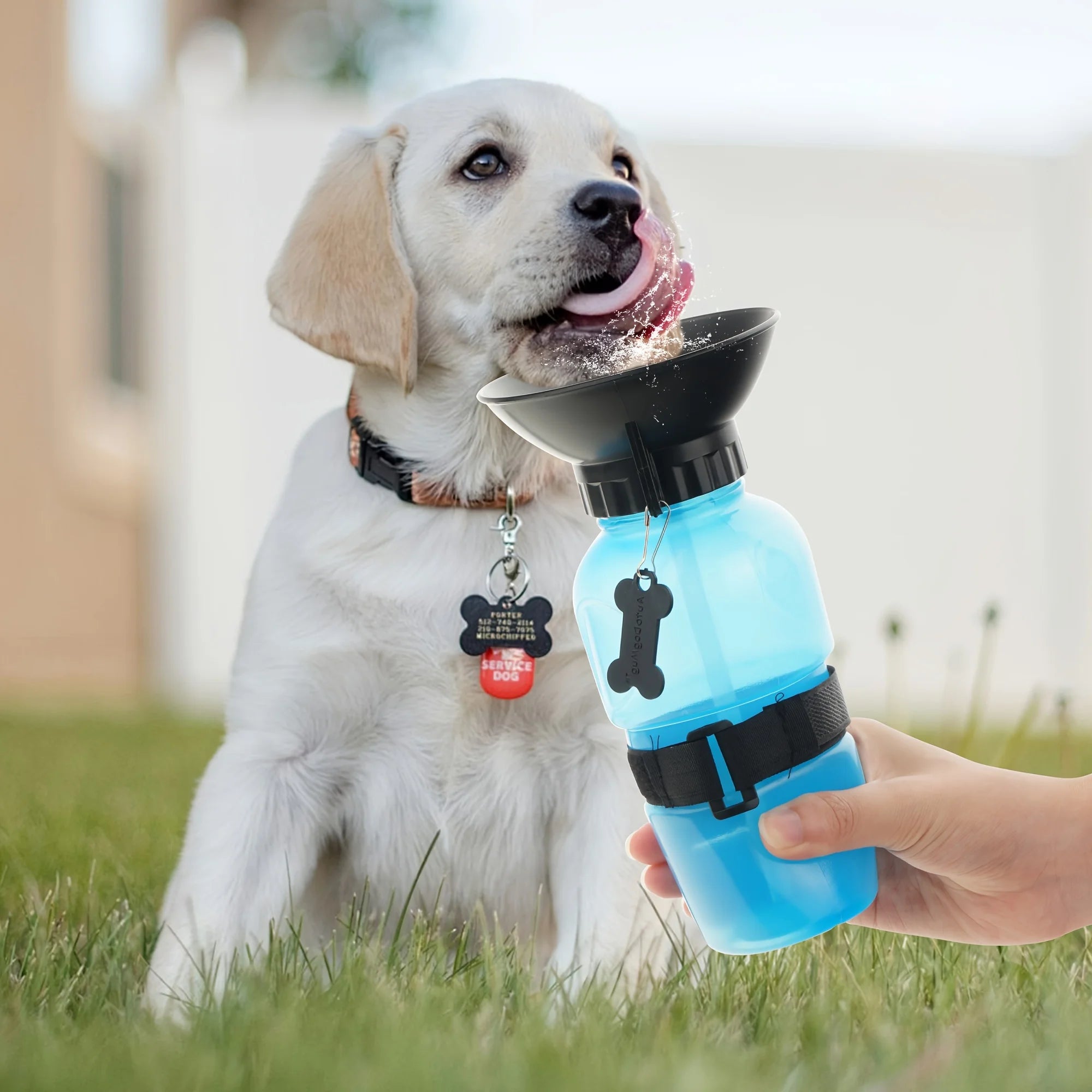 Dog Water Bottle, Portable Travel Water Bottle Dispenser For Dogs - Cats, Outdoor Travel Water Bottle Bowl,