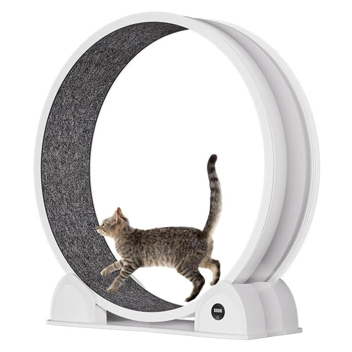Cat Exercise Wheel for Indoor Cats, Quiet Cats Treadmill with Pedometer, Small Animal Running Wheels