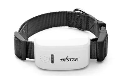 Mini TKSTAR Pet Tracker With Collar GSM/GPRS Positioning Real Time GPS