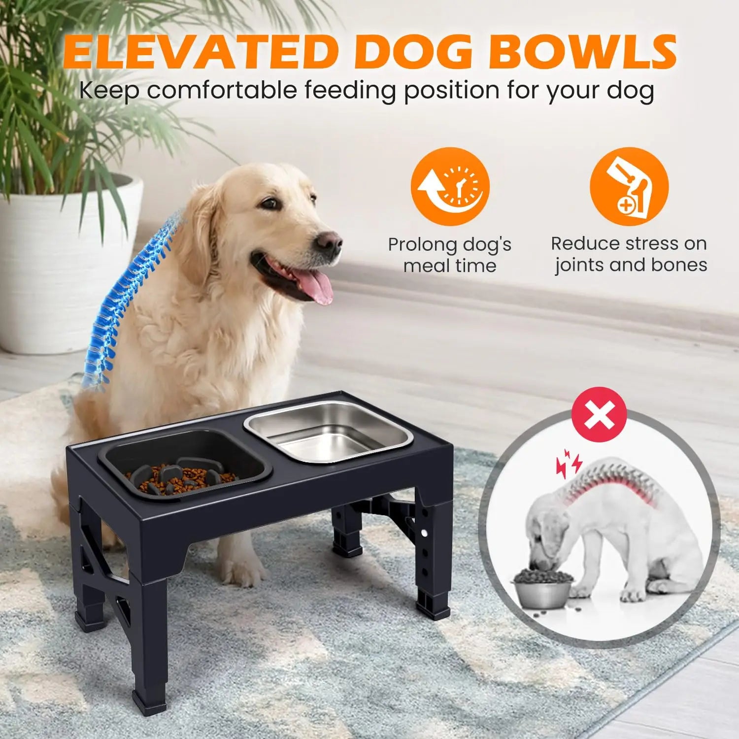 2-in-1 Elevated Slow Feeder Dog Bowls.