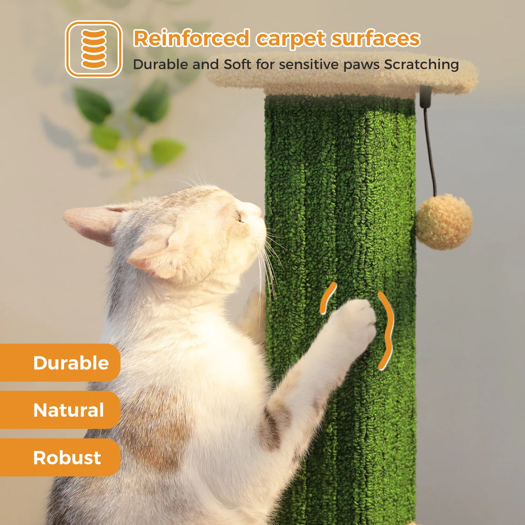 Large Cat Scratching Post for Indoor Cats Adults Ultimate Scratch Post.