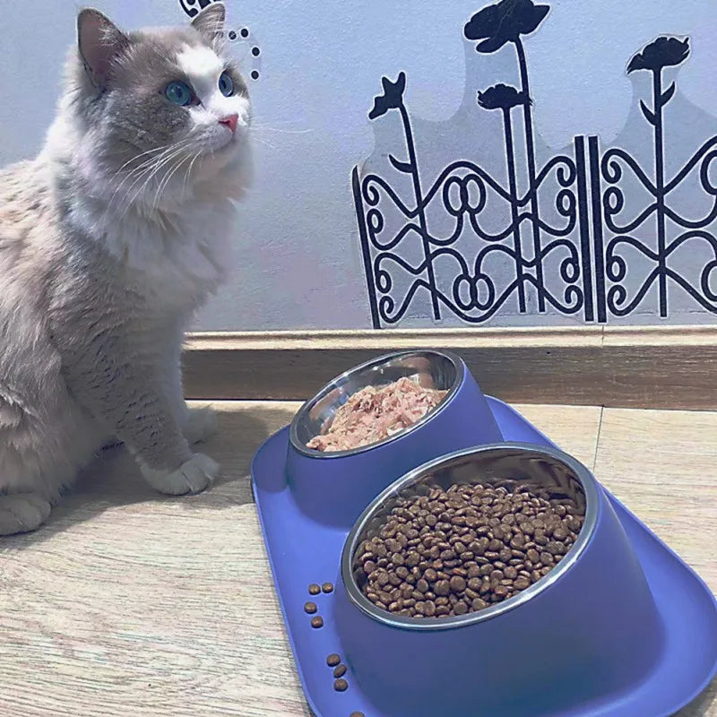 Stainless Steel Double Cat Dog Bowl Container Plastic Non-slip Base Pet Water Feeder