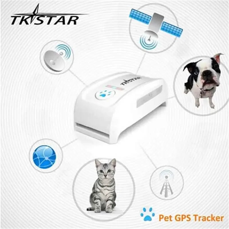 Mini TKSTAR Pet Tracker With Collar GSM/GPRS Positioning Real Time GPS